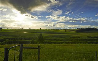 5000 m² Land available in Rosetta