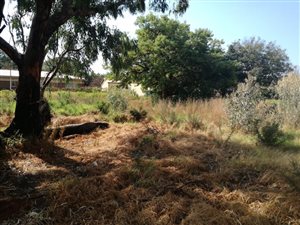 1191 m² Land available in Koster