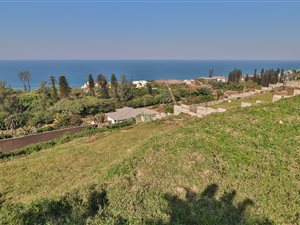 1555 m² Land available in Bluff