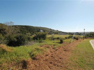 761 m² Land available in Port Alfred