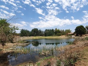 220 ha Land available in Sterkfontein and surrounds