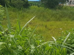 1061 m² Land available in Nagina