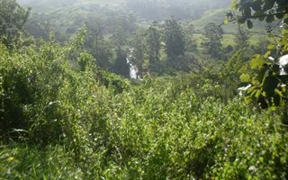 3.1 ha Farmland in Sea Park