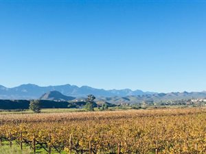 80 ha Farm in Ladismith