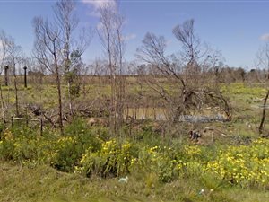 3.9 ha Farm in Colleen Glen