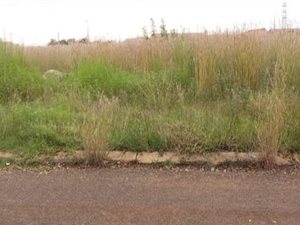 756 m² Land available in Villa Liza