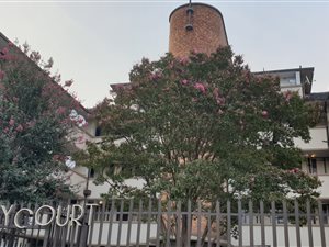 1 Bedroom Flat in Primrose