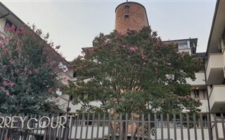 1 Bedroom Flat in Primrose