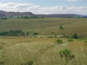 504.9 ha Farm in Paulpietersburg