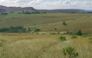 504.9 ha Farm in Paulpietersburg