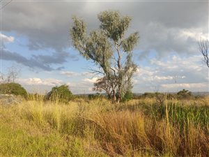 9.5 ha Land available in Bon Accord