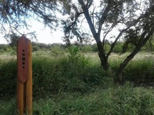1 ha Land available in Shere