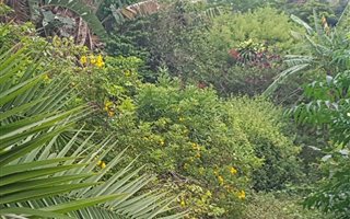 1259 m² Land available in Berea West