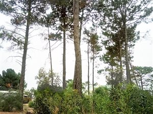 595 m² Land available in Bot River