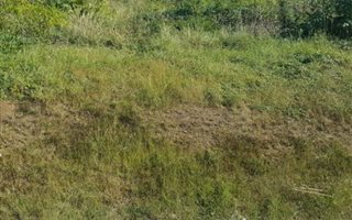 866 m² Land available in Metcalfe Park