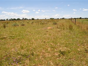 2.5 ha Land available in Nelsonia