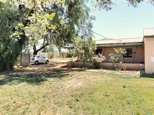 4.3 ha Farm in Bloemspruit