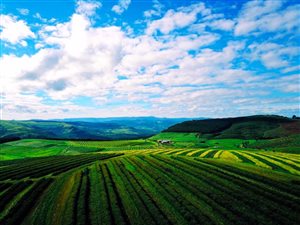 60 ha Farm in Hilton
