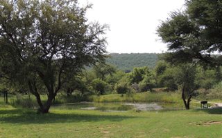 430 m² Land available in Leeupoort