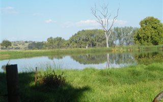 1200 ha Farm in Ladysmith