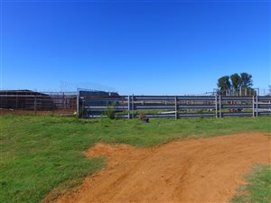 380 ha Farm in Kroonstad