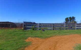 380 ha Farm in Kroonstad