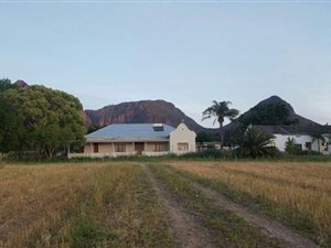 29 ha Farm in Northern Paarl
