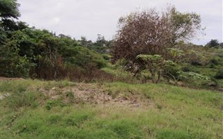 1.3 ha Land available in Shakaskraal