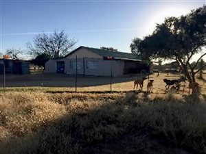 4 Bed House in Mafikeng