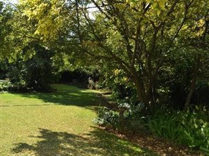 2.8 ha Land available in Rietvalleirand