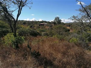 692.3 ha Farm in Tzaneen
