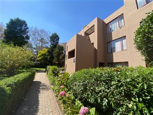 1 Bed Apartment in Parkwood