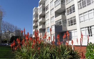 1 Bedroom Apartment in Wynberg