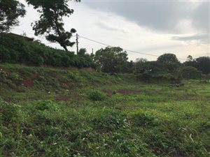 2032 m² Land available in Wyebank