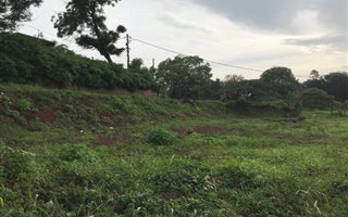 2032 m² Land available in Wyebank