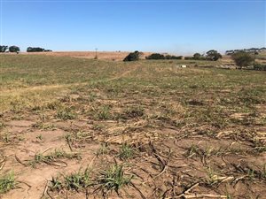 3.6 ha Farm in Ballito