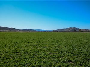 20 ha Farm in Touws Rivier