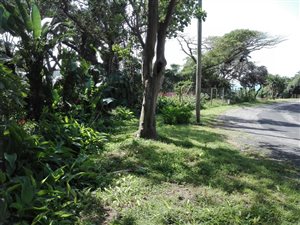 1812 m² Land available in Umzumbe
