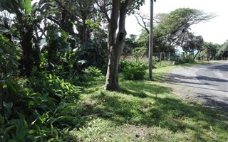 1812 m² Land available in Umzumbe