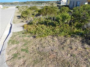 432 m² Land available in Moquini Coastal Estate
