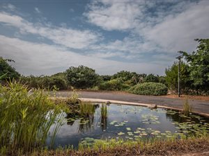 1164 m² Land available in Hawaan Forest Estate