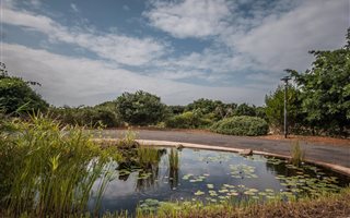 1164 m² Land available in Hawaan Forest Estate