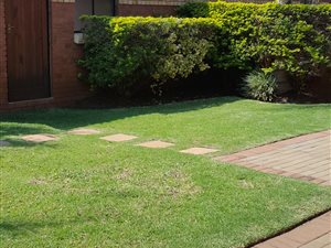 2 Bedroom Simplex in Monavoni