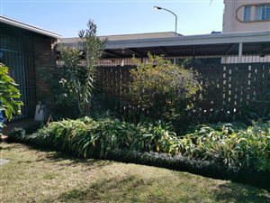 2 Bed Apartment in Springs Central