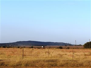 8.5 ha Commercial Farm in Wilgeboom