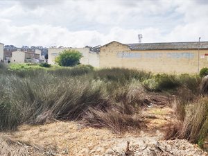 788 m² Land available in Avondale