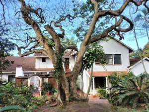 30 Bed House in Carsdale