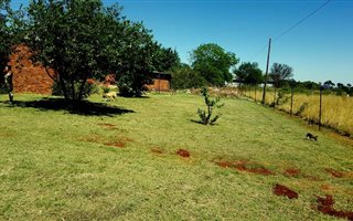 Farm in The Orchards