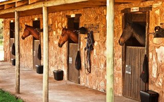 954 m² Land available in Redstone Country Estate