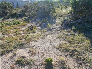 359 m² Land available in Moquini Coastal Estate